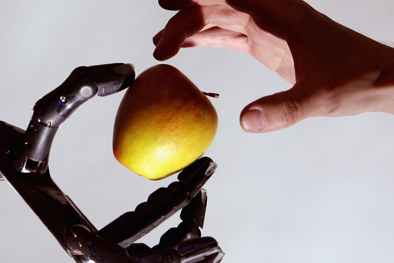 The Shadow Robot company's dextrous hand robot holds an apple at a robotics event in London.